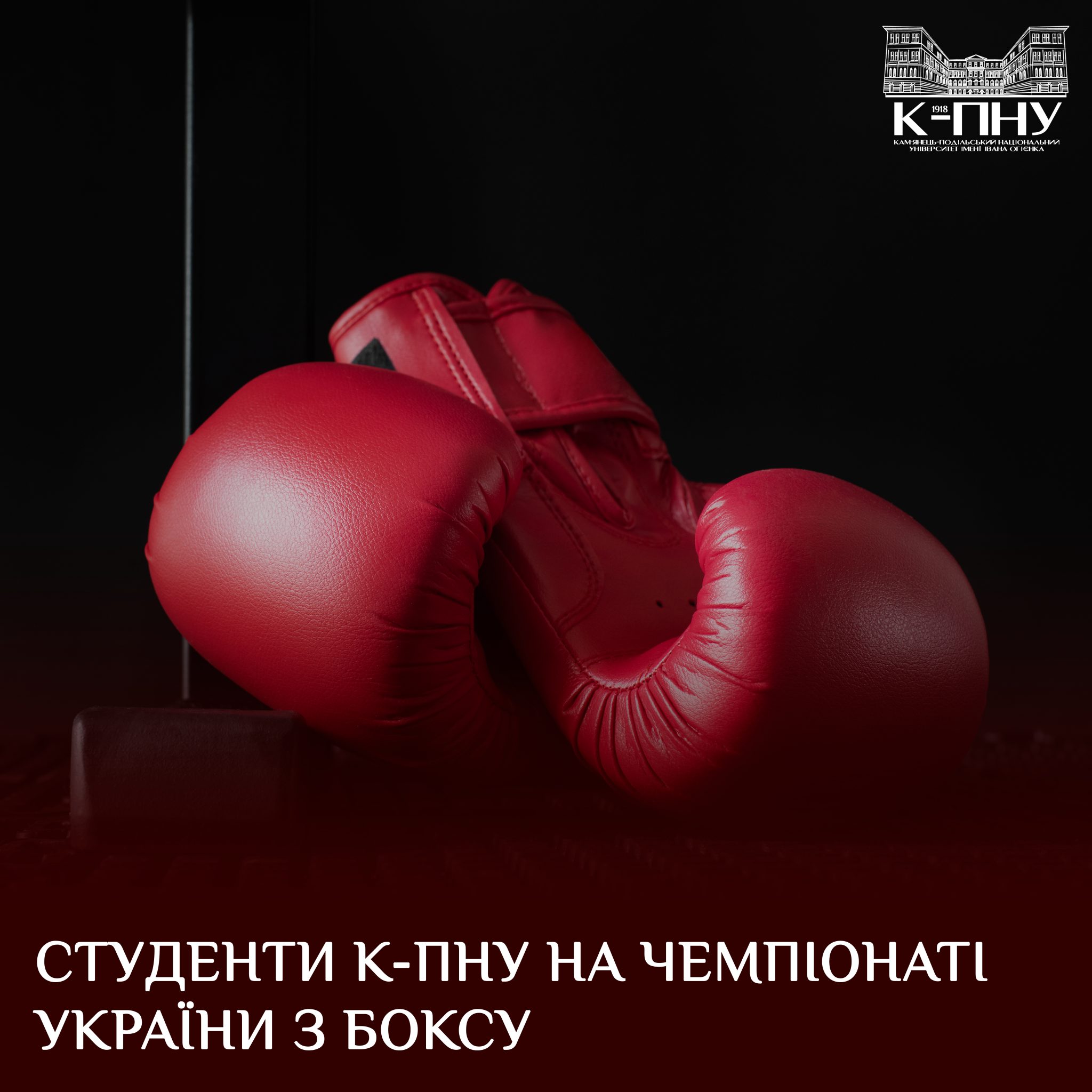 Студенти К-ПНУ на чемпіонаті України з боксу