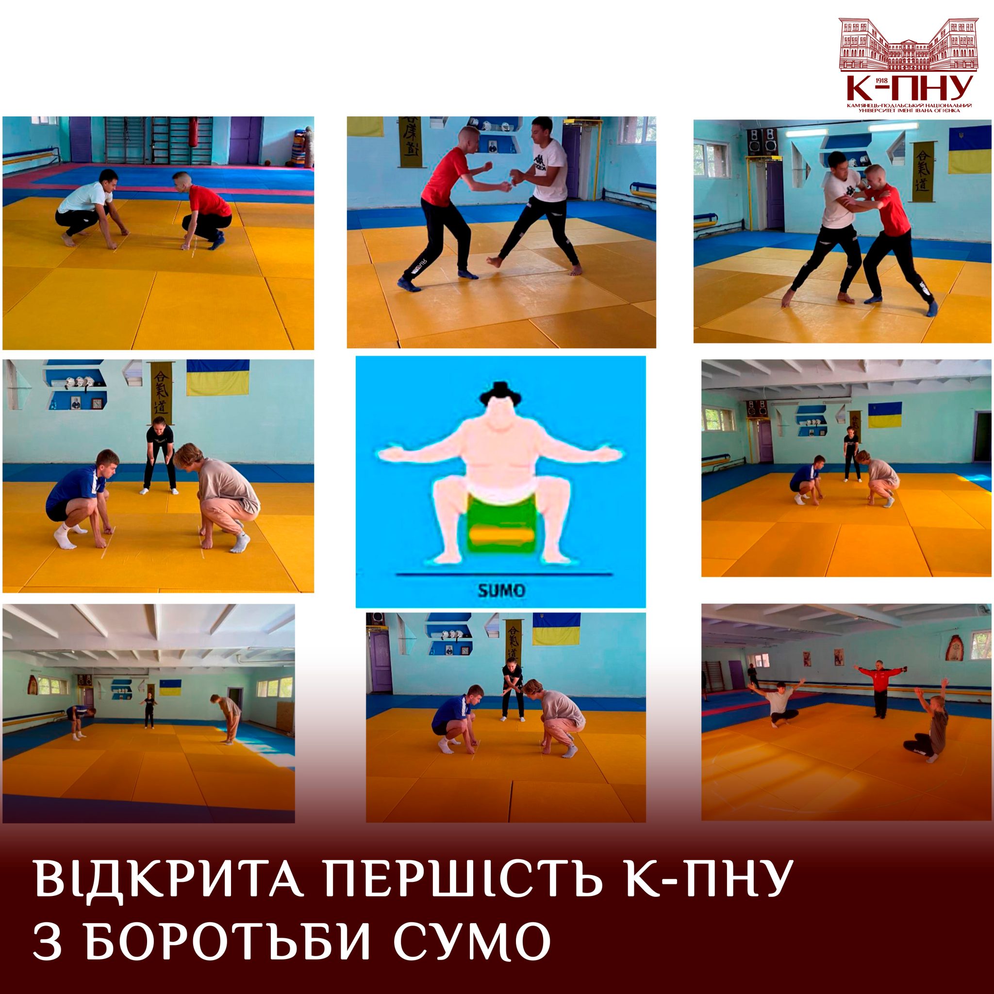 Відкрита першість К-ПНУ з боротьби сумо